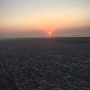 Meet your Posher, Avery